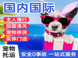 海西花土沟机场快递国际宠物托运 【国